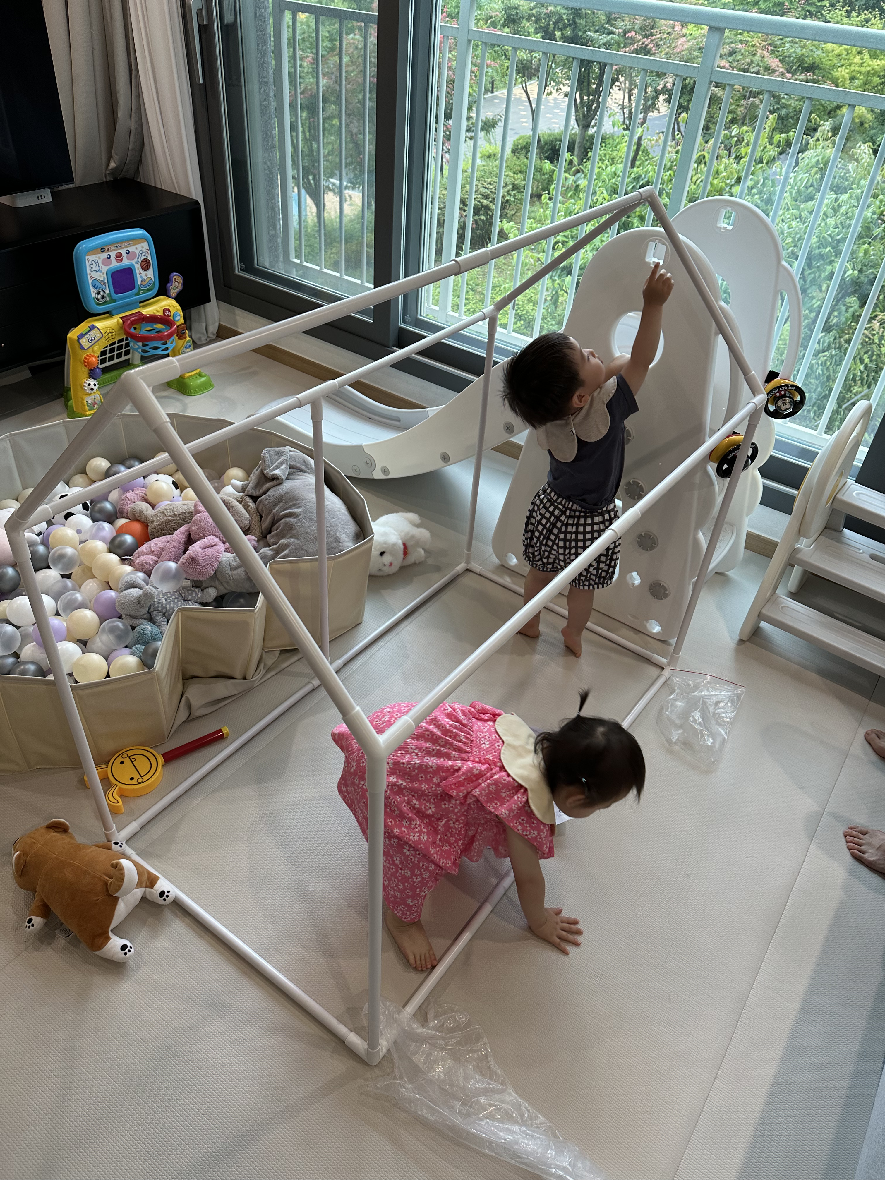 시아지오대디 / 남매둥이 / 하우스텐트 / 하우스텐트 설치