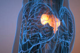 꼬리뼈가 아픈 이유