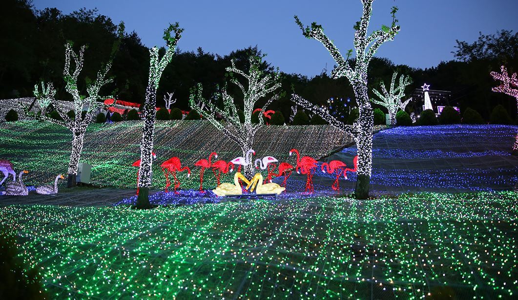 청도프로방스빛축제