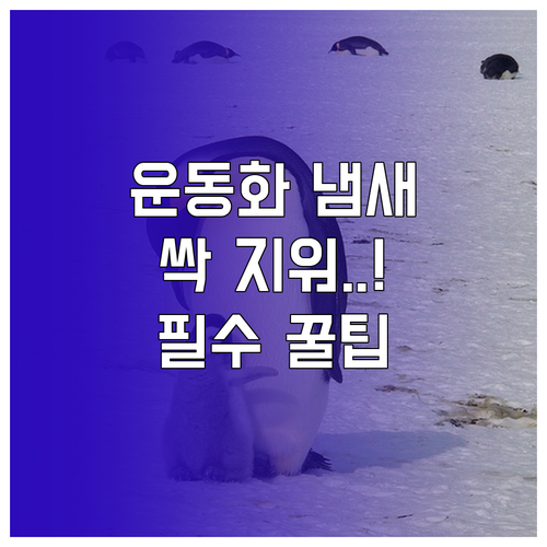 운동화 냄새, 얼룩 완벽 제거: 소재..