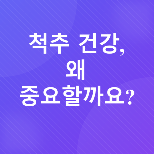 척추 건강_1