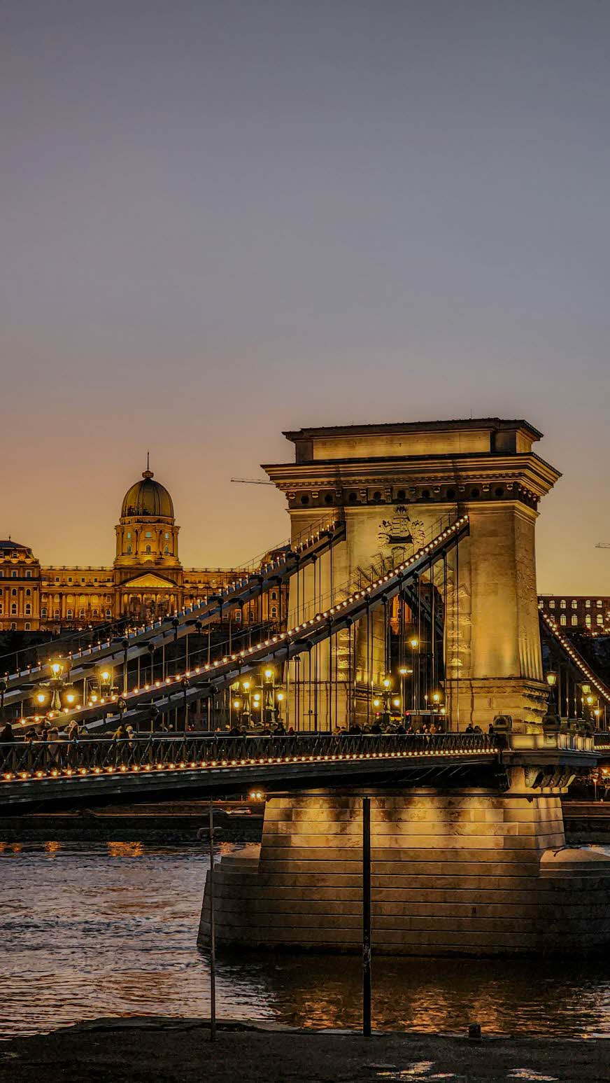 4.해외 여행자보험