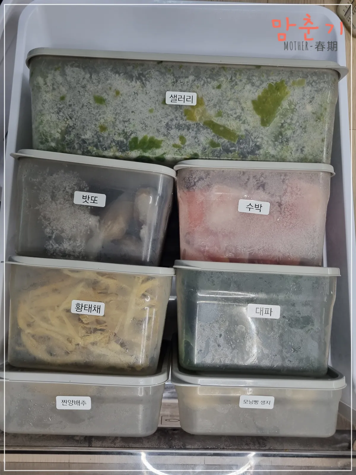 다이소-정리용기-말랑핏-냉동고-정리