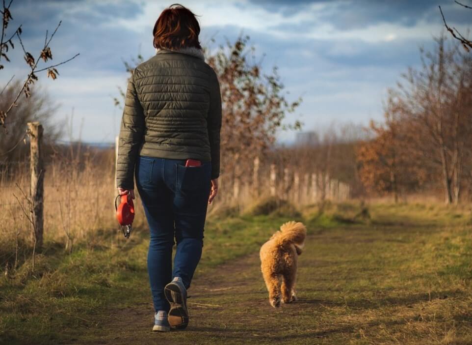 아침운동이 좋은이유
아침산책이 좋은이유
아침산책효과
아침운동효과