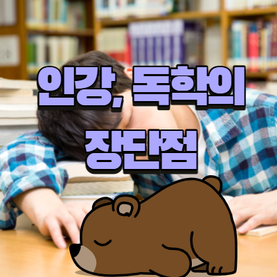 공인중개사 인강,독학 장단점