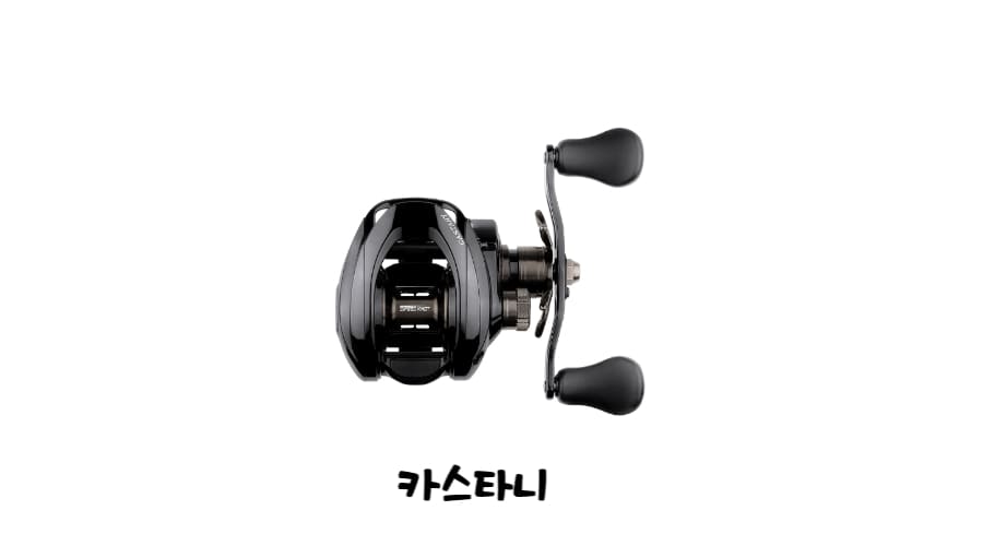 카스타니-베이트릴