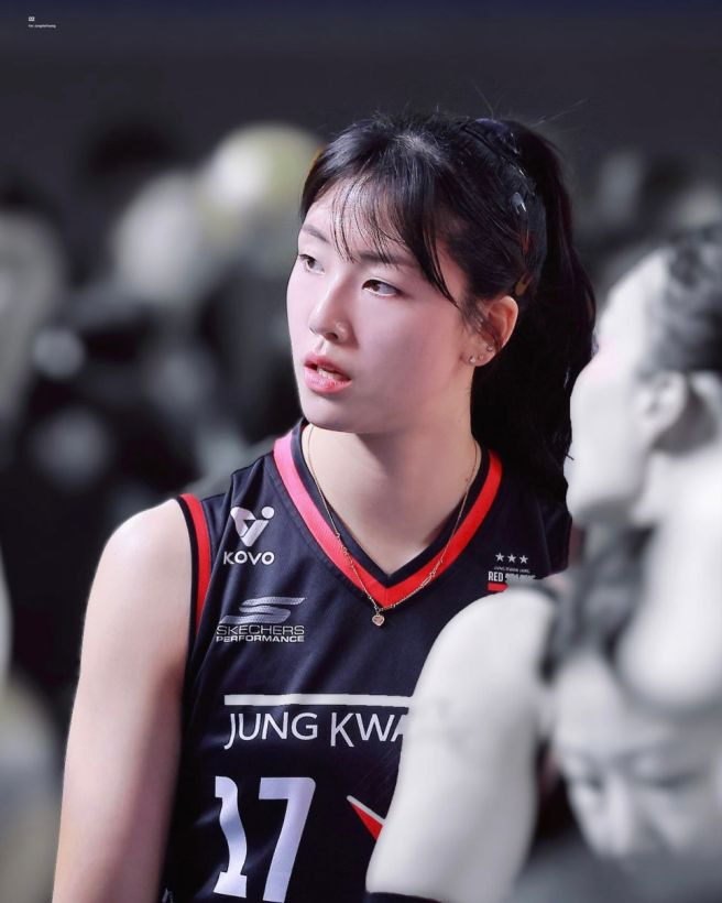 흥국생명 정호영 영입, FA 최대어 3년 16.2억 '국대 트윈타워' 완성