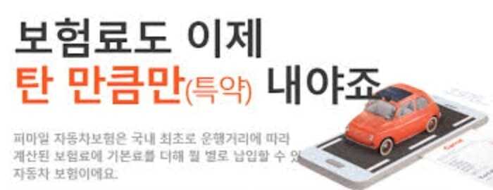  캐롯 퍼마일 다이렉트