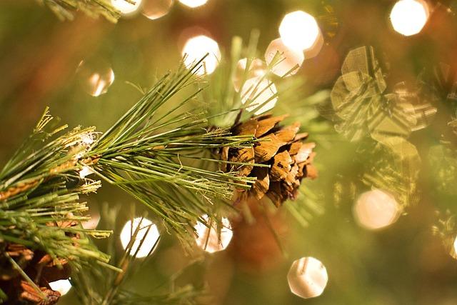 단수여권 복수여권 구분 차이 완벽 가이드 - 발급비용부터 사용제한까지
