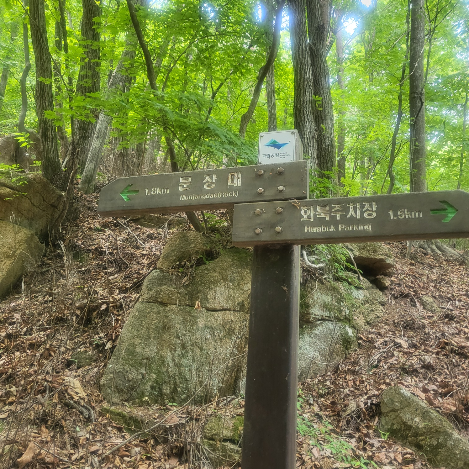 속리산 문장대(아이와 등산하기)