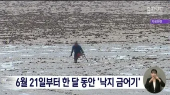 6월 낙지 금어기 정확한 시작일과 끝나는 날 지역별 상세 기준 정리_4