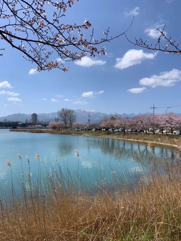 속초 영랑호