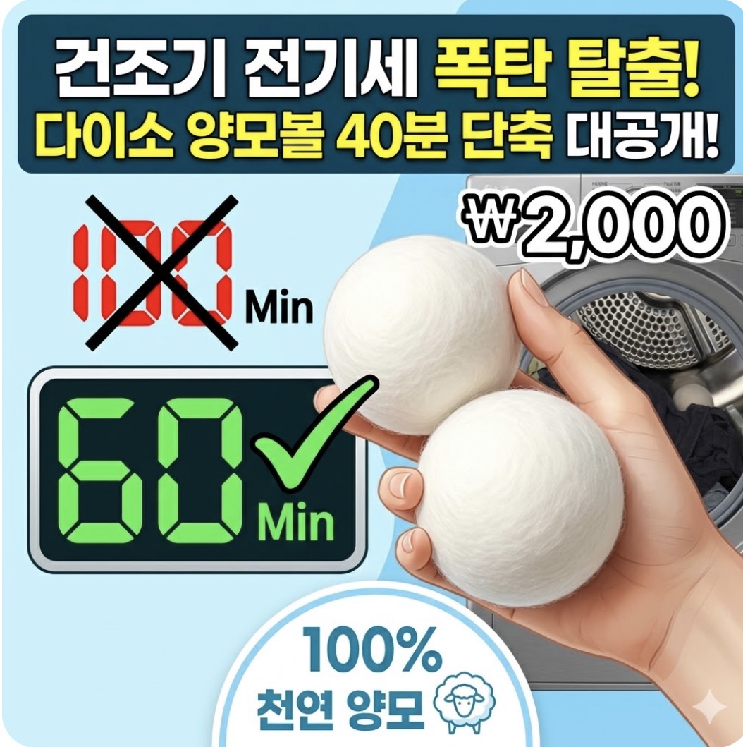 다이소 양모볼 사용 후기 및 빨래 건조 시간 비교