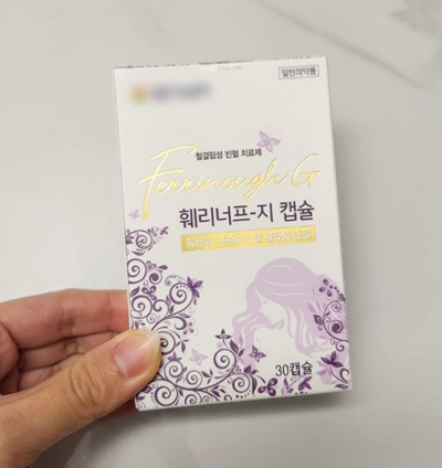 임산부영양제철분제