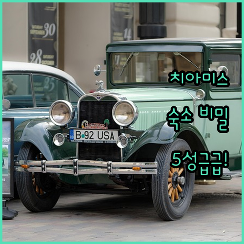 리모델링 욕실부터 5성급 럭셔리까지 ..