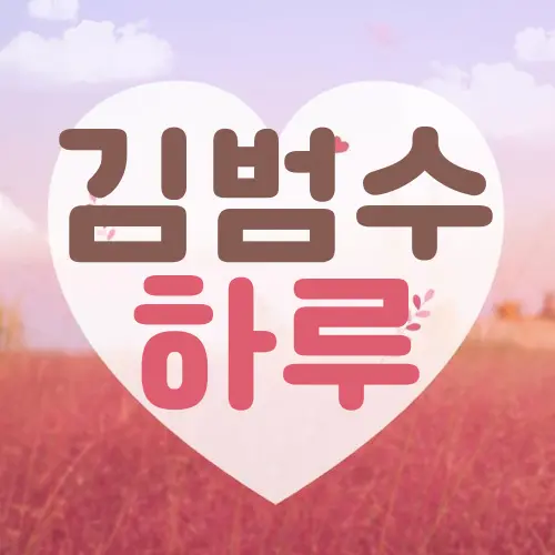 김범수 하루