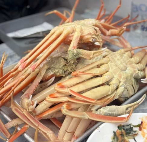 전현무계획-영덕-대게-항구식당-대게장