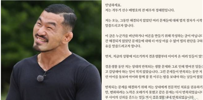 배명호 양육비 미지급 사건 전말 전처 정혜원 입장문 총정리