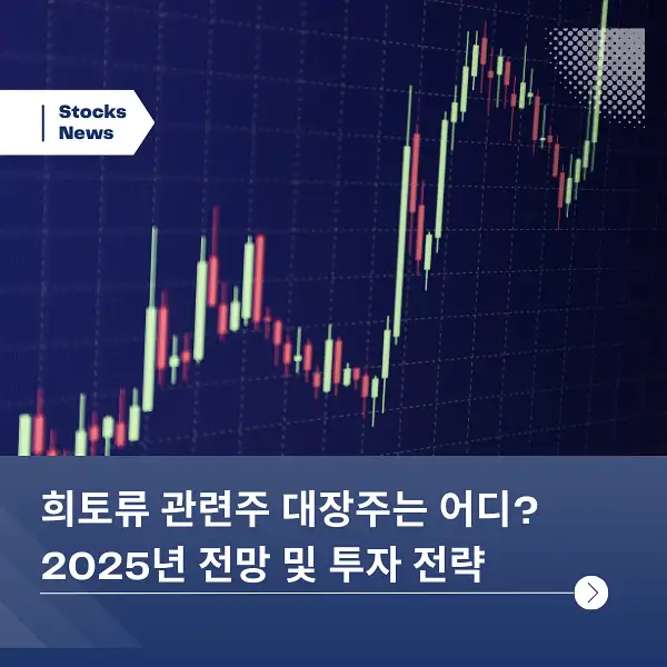 희토류 관련주 대장주