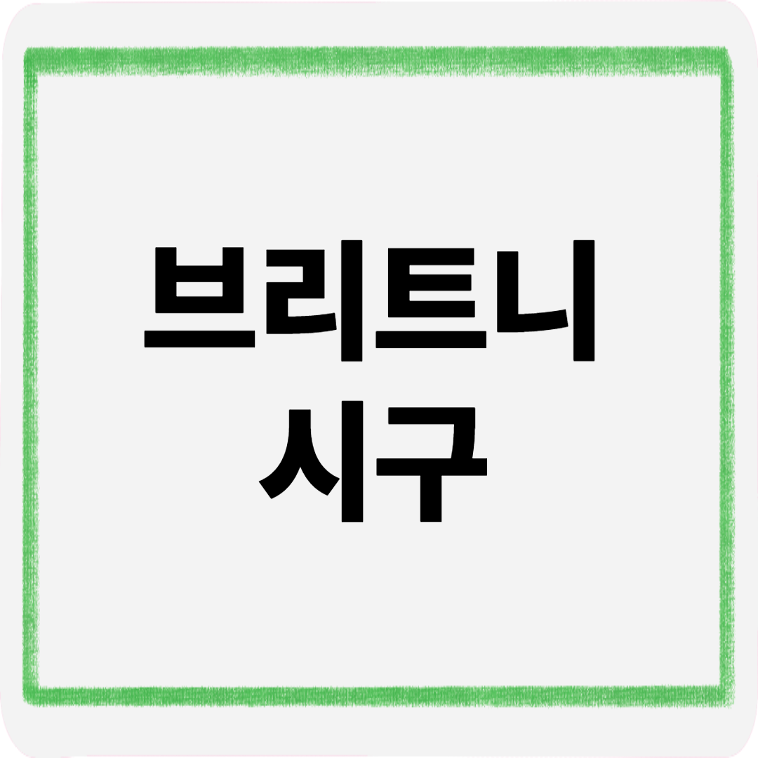 브리트니 시구