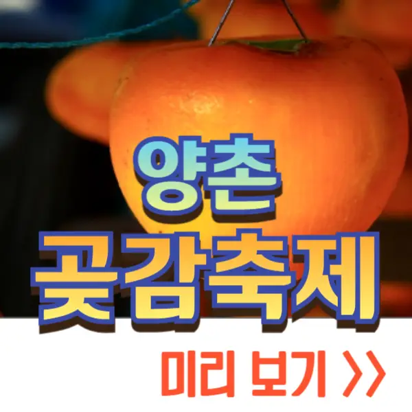 양촌 곶감축제