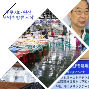 후쿠시마 오염수 방류 결정