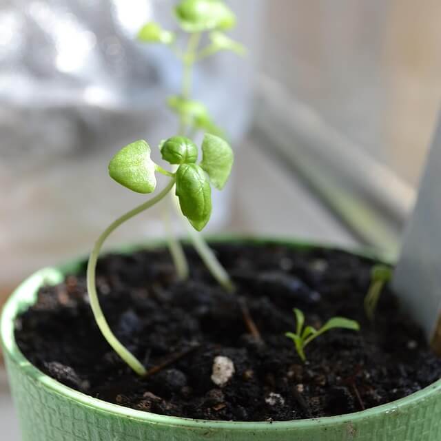 맹지 토지&amp;#44; 무조건 피해야 할까? 탈출 가능한 5가지 조건