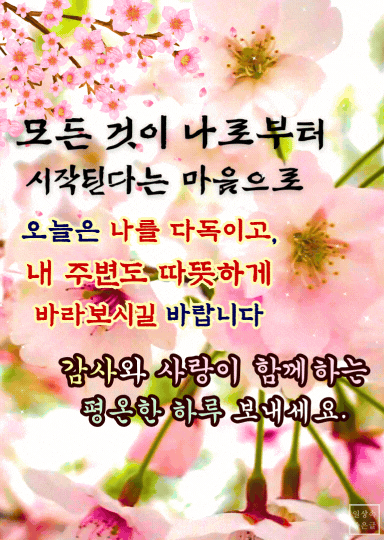 벚꽃 배경 위에 자기를 돌아보며 시작하라는 아침 긍정 메시지
