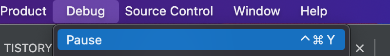 XCODE Debug Pause