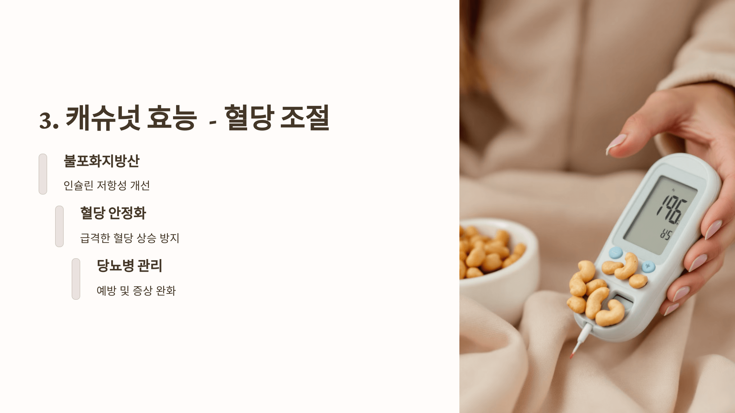 캐슈넛 사진입니다.