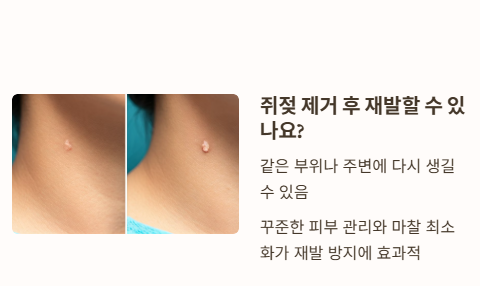 자주 묻는 질문 Q&amp;A