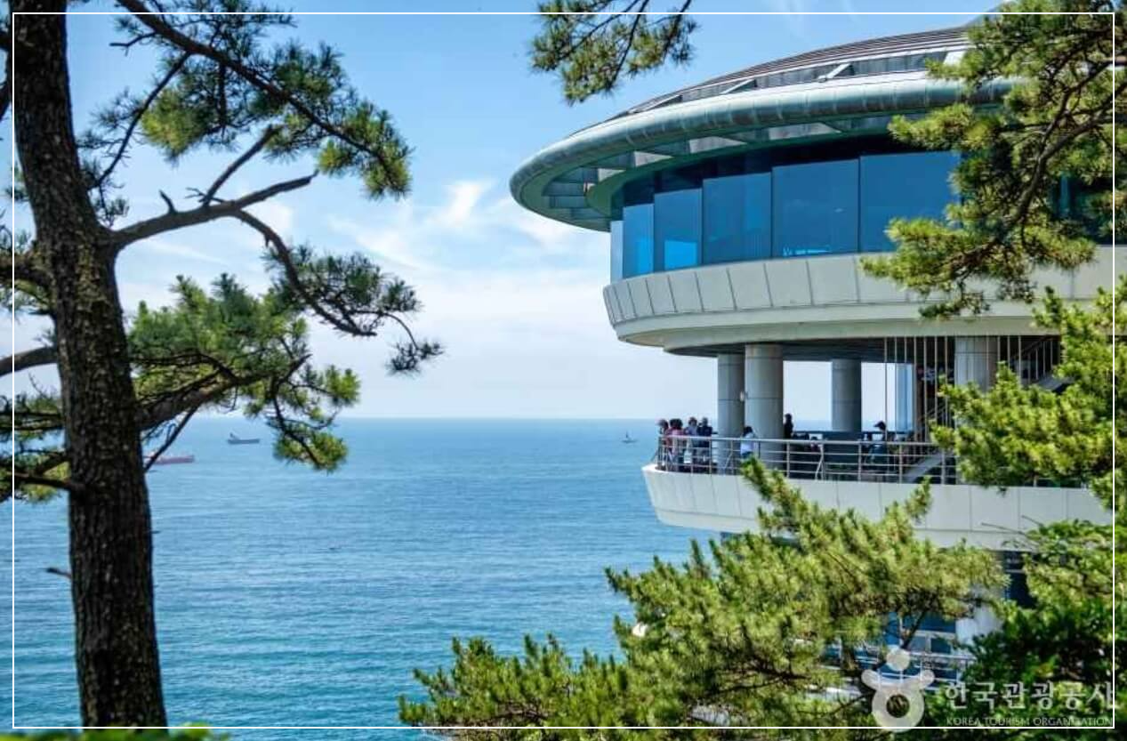 부산 가볼만한곳 베스트10 태종대