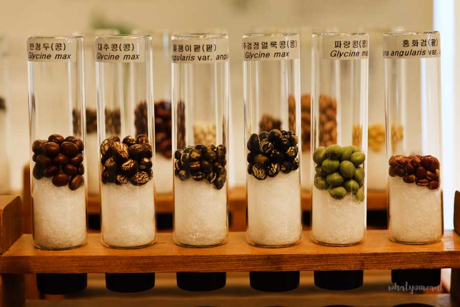 서울식물원 완벽 가이드: 씨앗도서관