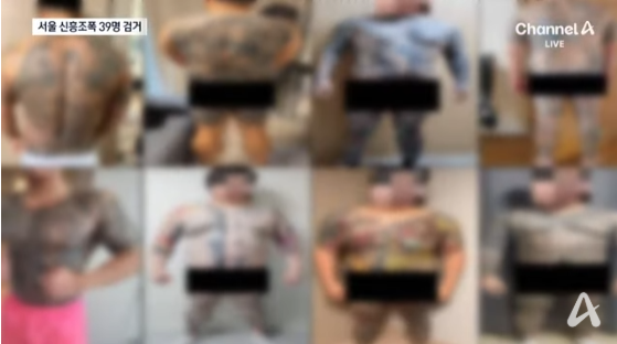 경찰 수사 및 검거 상황
