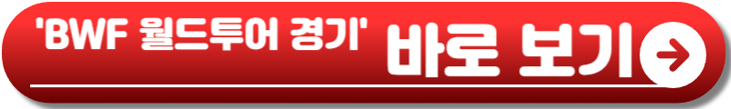 안세영 배드민턴