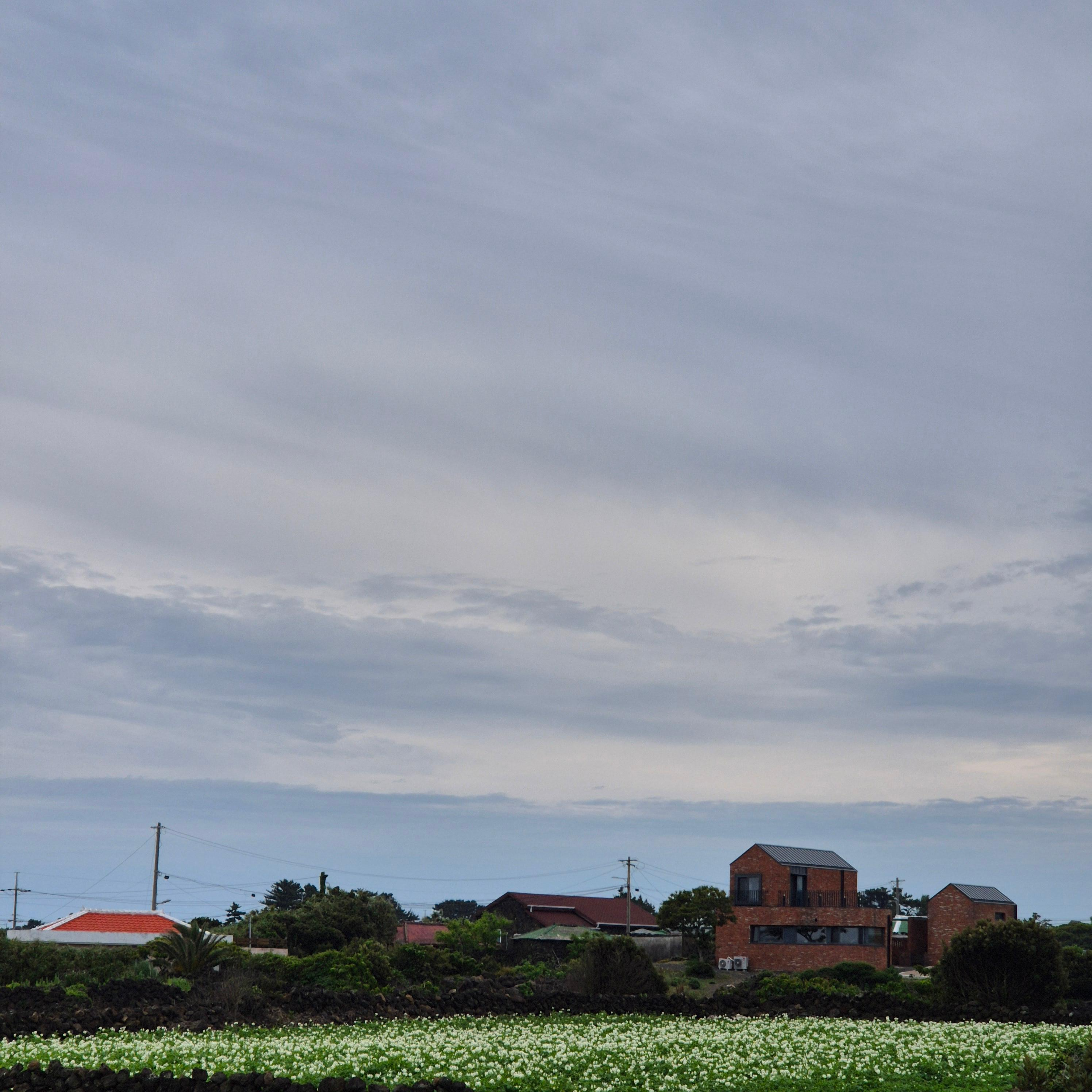 올레길 21코스&amp;#44; 제주올레 21코스&amp;#44; 지미봉&amp;#44; 종달리&amp;#44; 하도해녀박물관&amp;#44; 제주올레길&amp;#44; 종달바당&amp;#44; 제주여행코스&amp;#44; 올레길후기&amp;#44; 제주동부여행