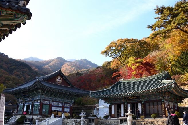 세미원 연꽃축제와 양평 가볼만한 곳 추천