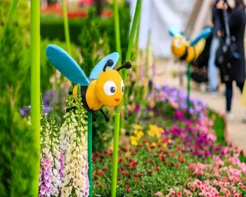 고양 꽃박람회_12