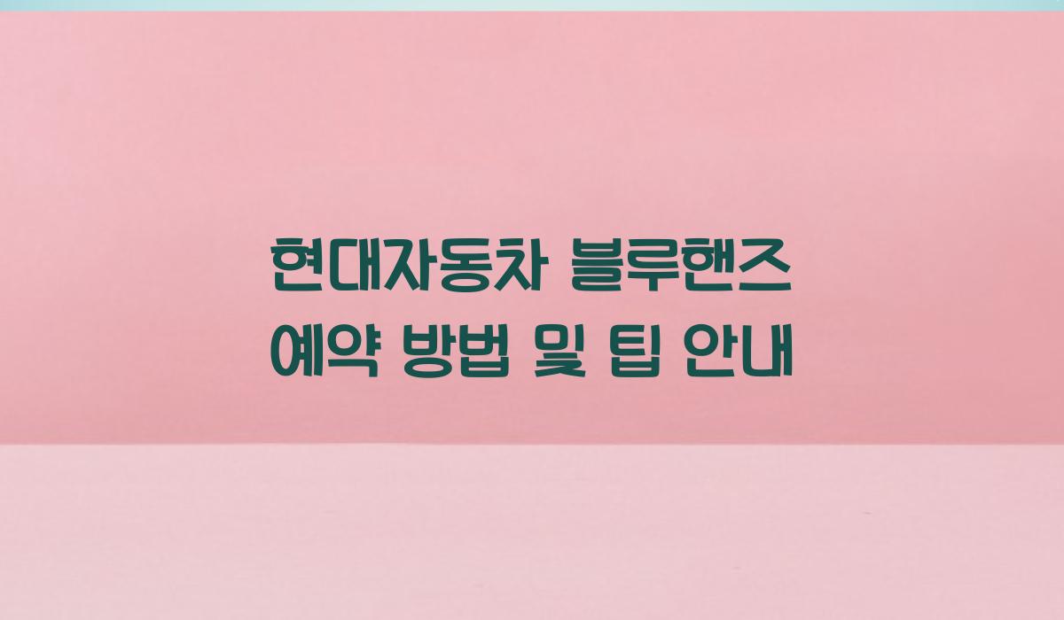 현대자동차 블루핸즈 예약