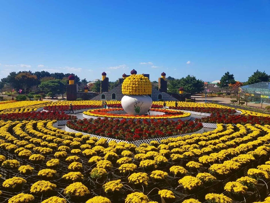 2025 태안 가을꽃박람회