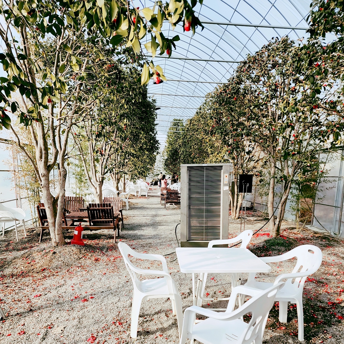 파주뮌스터담카페