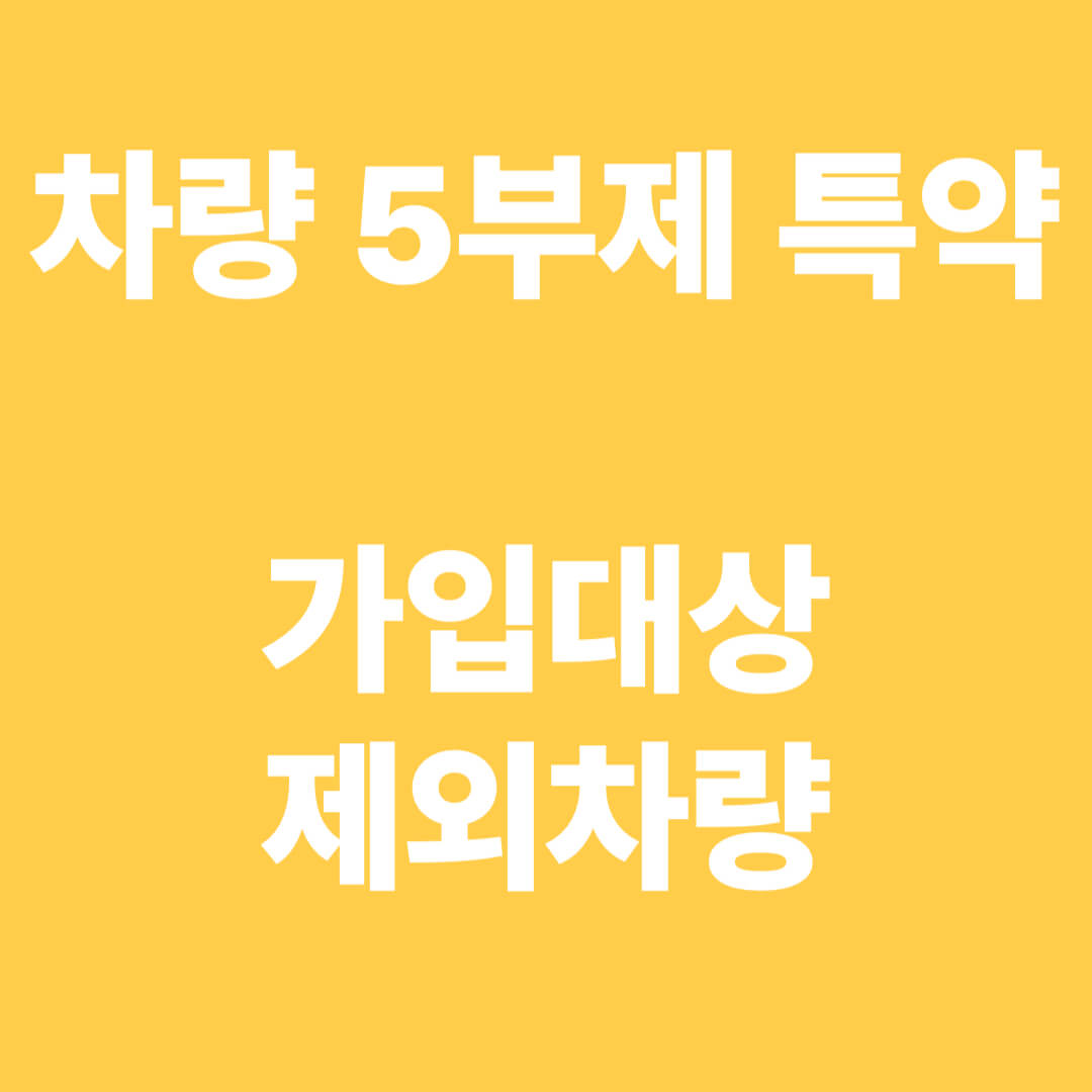 차량-5부제-특약-가입대상-제외차량
