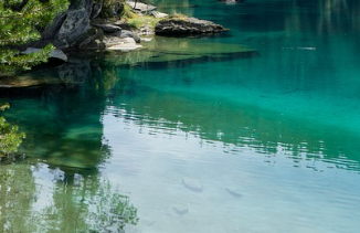 데칼코마니 뜻 쉽게 이해하기 7
