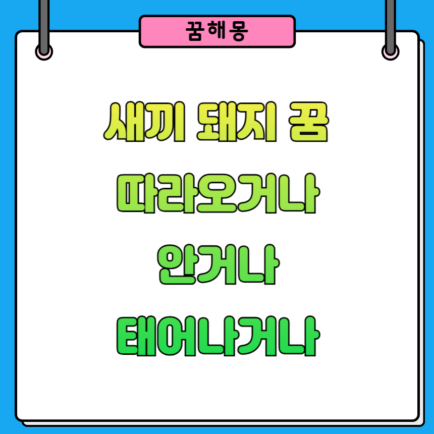 새끼돼지가 나오는 꿈 상황별 해석