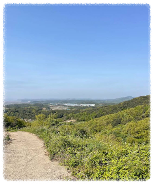 성왕산