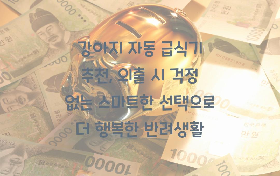 강아지 자동 급식기 추천, 외출 시 걱정 없는 스마트한 선택