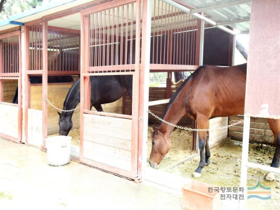 6시 내고향