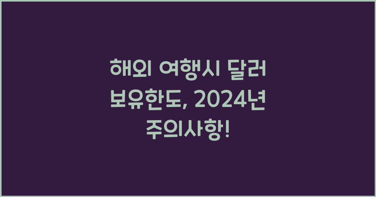 해외 여행시 달러 보유한도