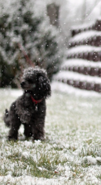 출산특례 제도란? 2024년 6월부터 달라진 청약 기회 총정리