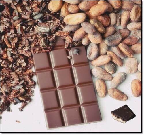 코코아 및 다크초콜릿